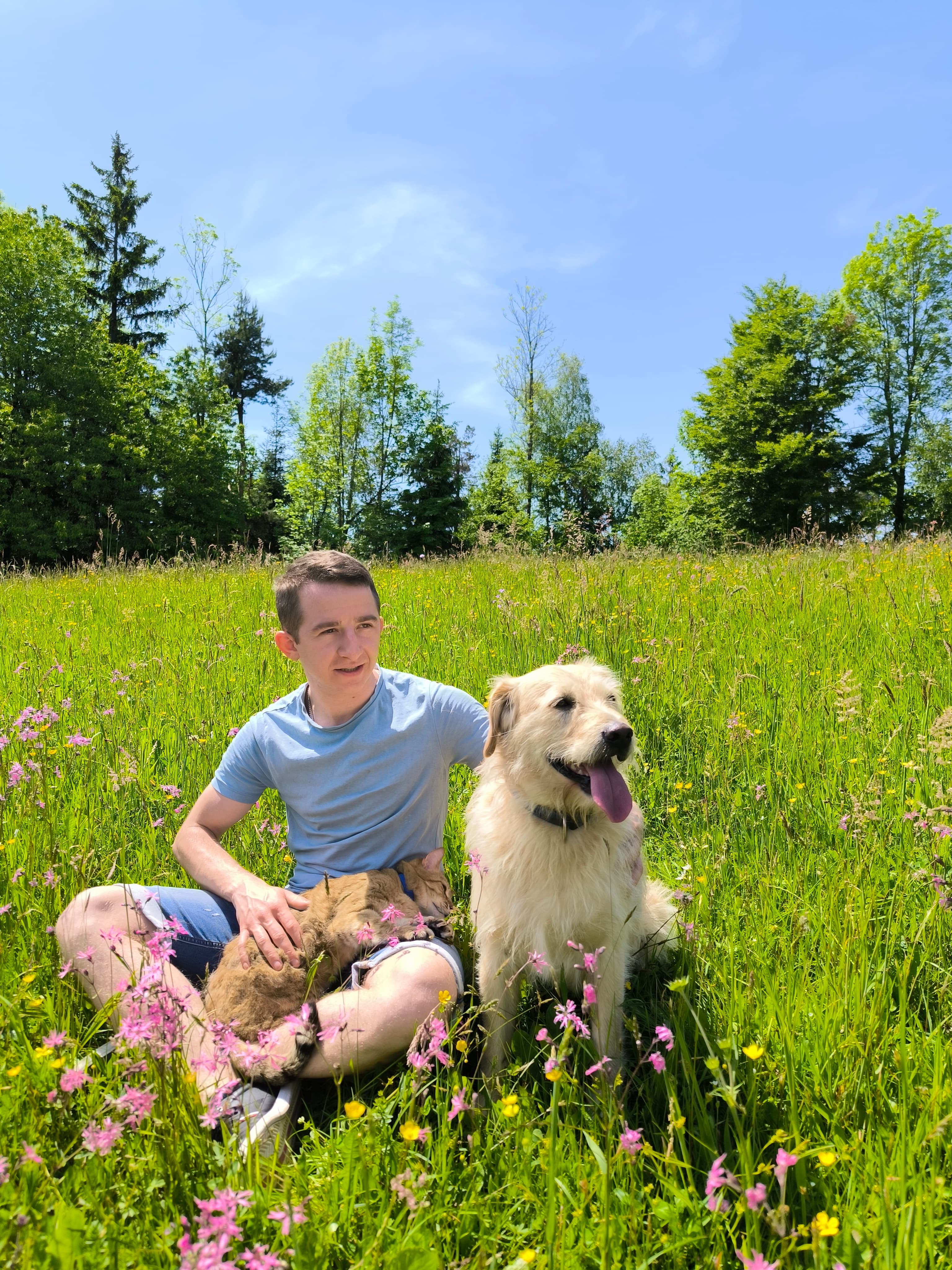 Nadčutna energijska terapija za živali